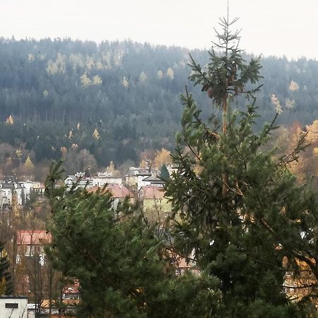 Ferienwohnung Irysek Lądek-Zdrój Exterior foto