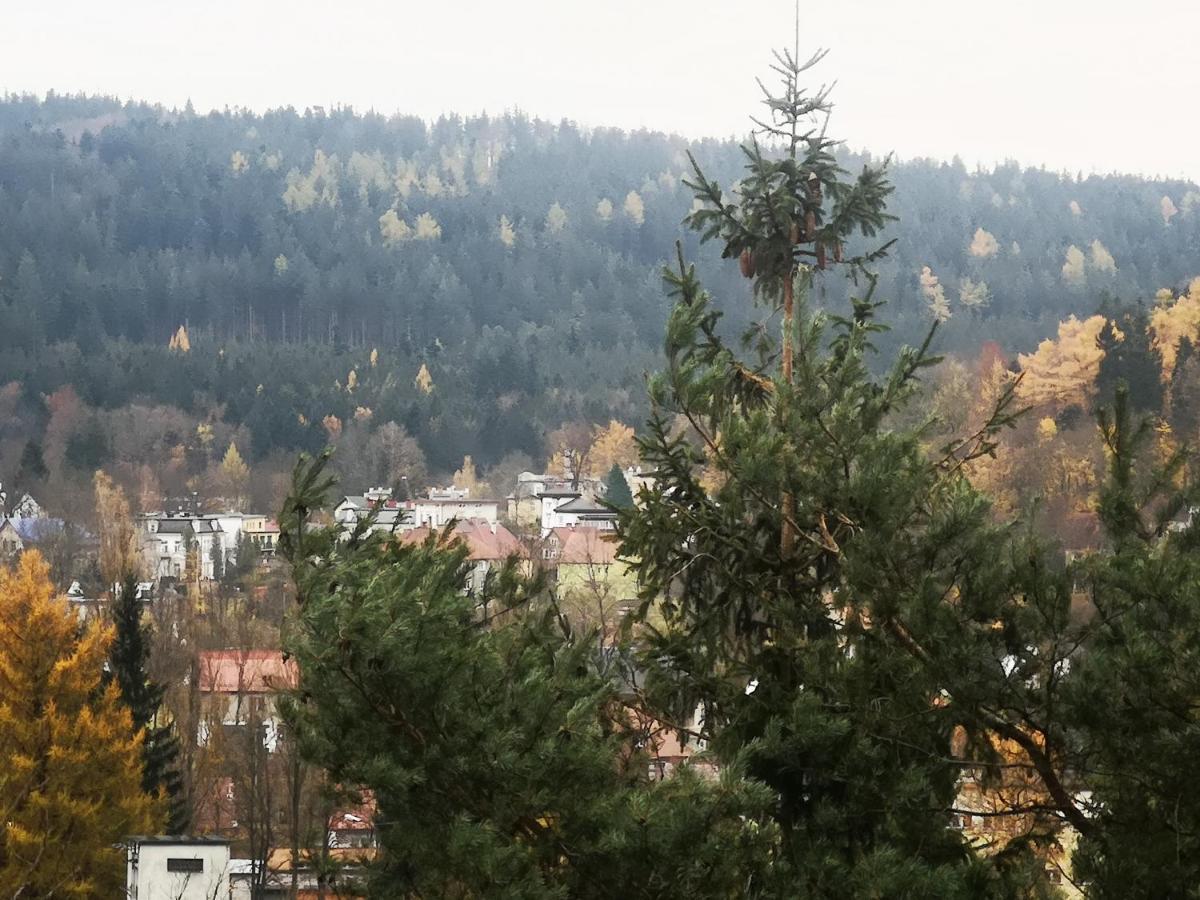 Ferienwohnung Irysek Lądek-Zdrój Exterior foto